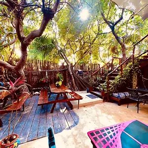 Holbox Hostal Auberge de jeunesse Holbox